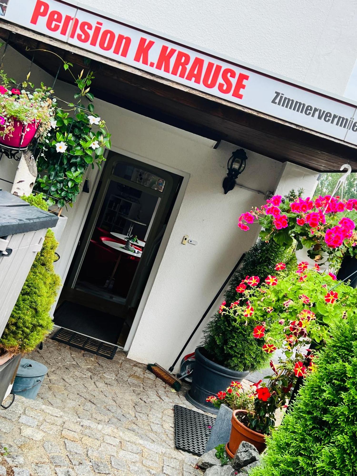 Pension K.Krause Salzgitter Exteriör bild